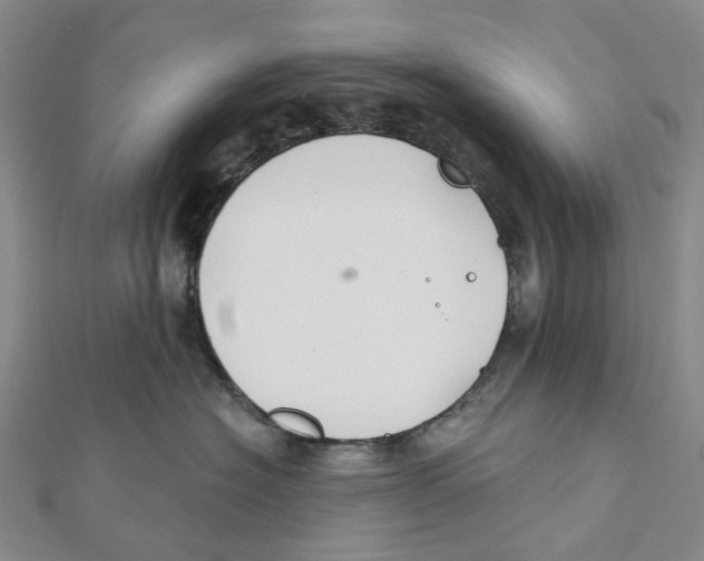 X0000111790574200908201134