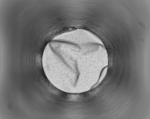 X0000111790575200908201134