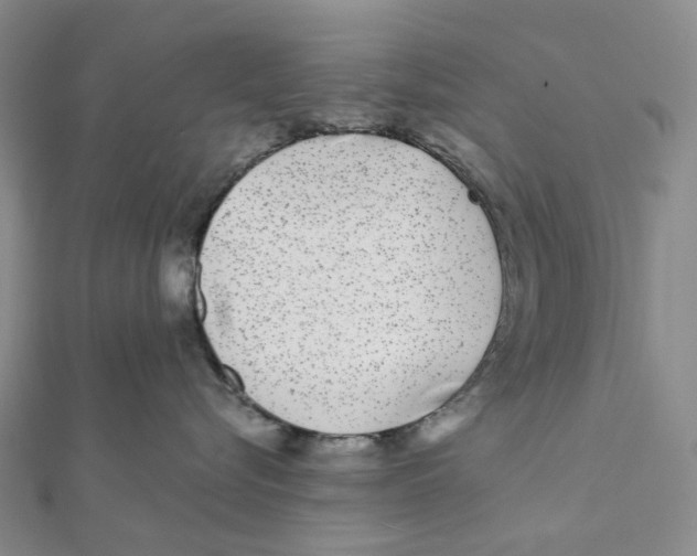 X0000111790576200908201134