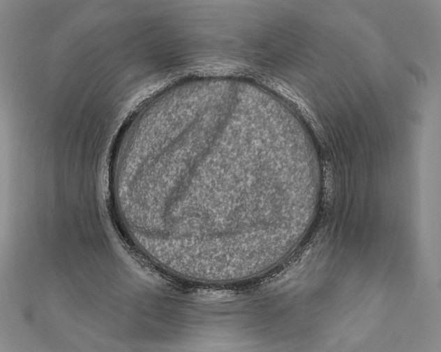 X0000111790582200908201134