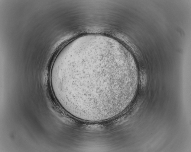 X0000111790583200908201134