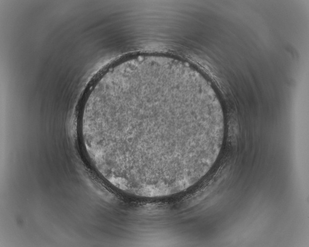 X0000111790584200908201134