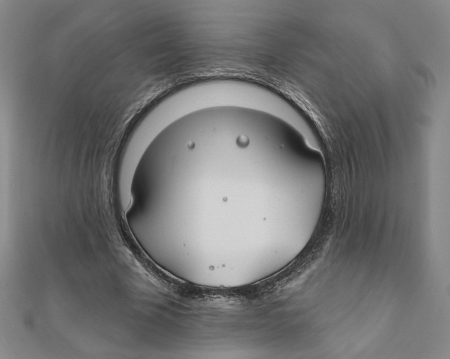 X0000111790585200908201134