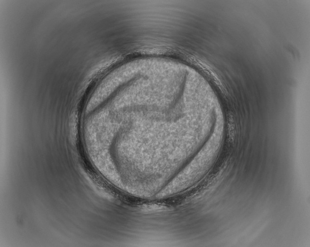 X0000111790586200908201134