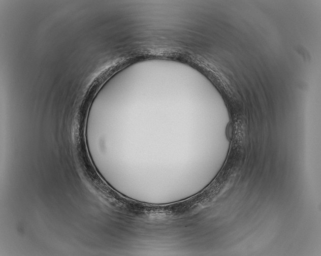 X0000111790587200908201133