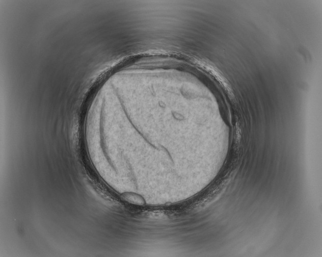 X0000111790588200908201133