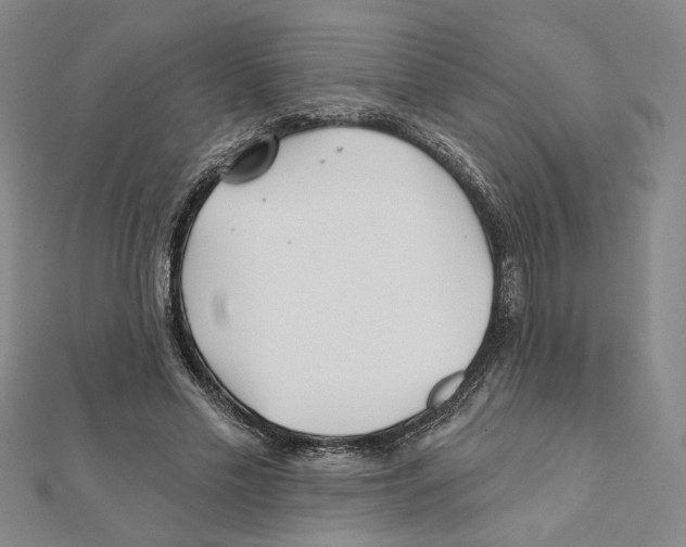 X0000111790589200908201133