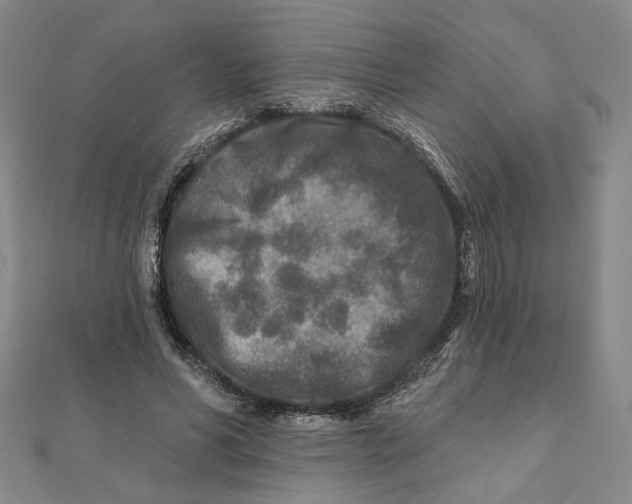 X0000111790590200908201133