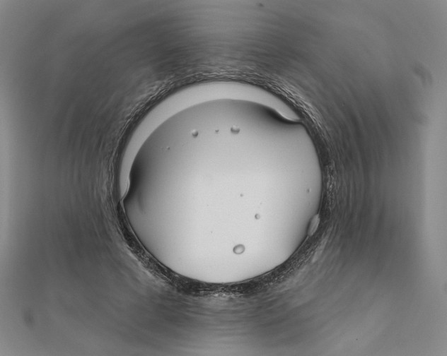 X0000111790593200908201133