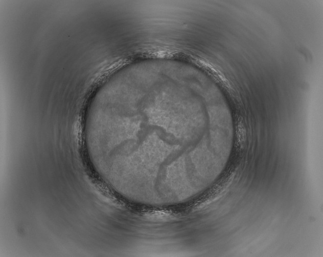 X0000111790594200908201133