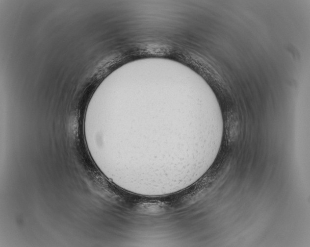 X0000111790595200908201133