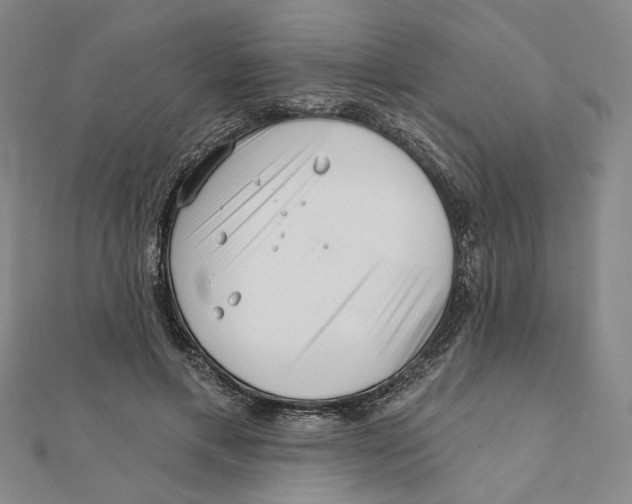 X0000111790597200908201133