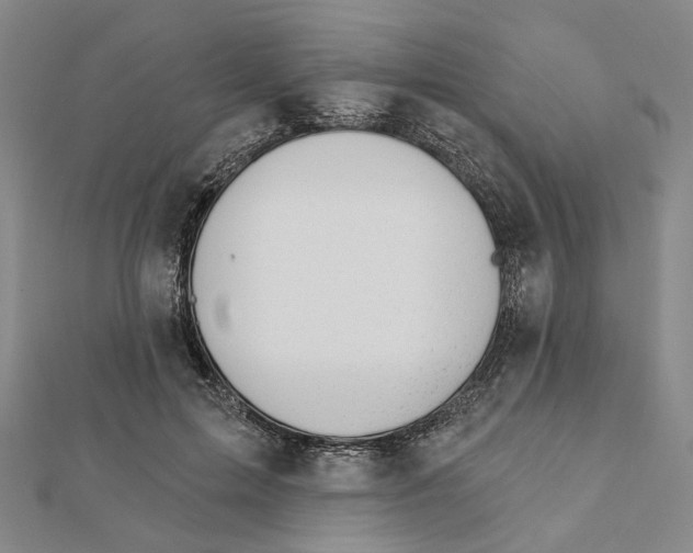 X0000111790599200908201133