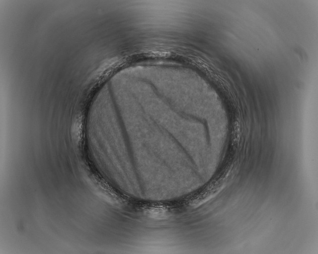 X0000111790600200908201133