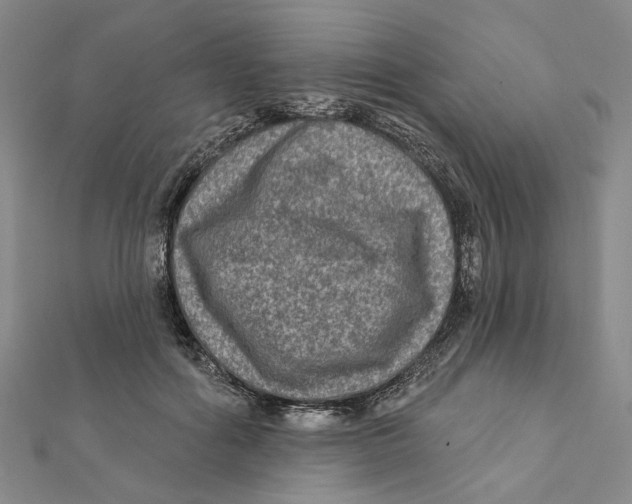 X0000111790602200908201133