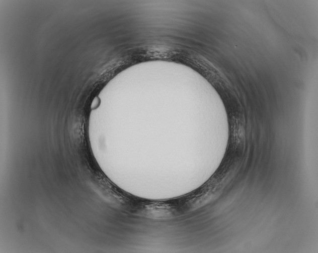 X0000111790603200908201133