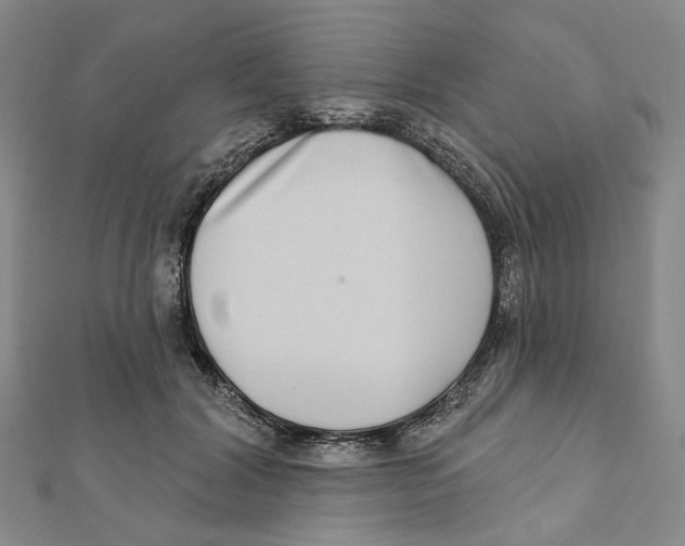 X0000111790604200908201133