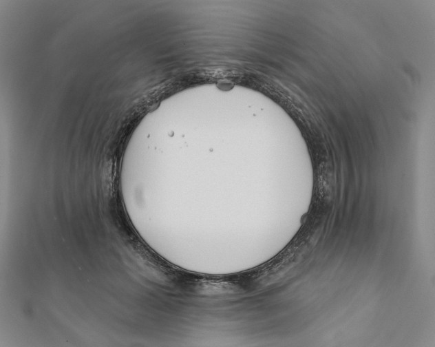 X0000111790605200908201133