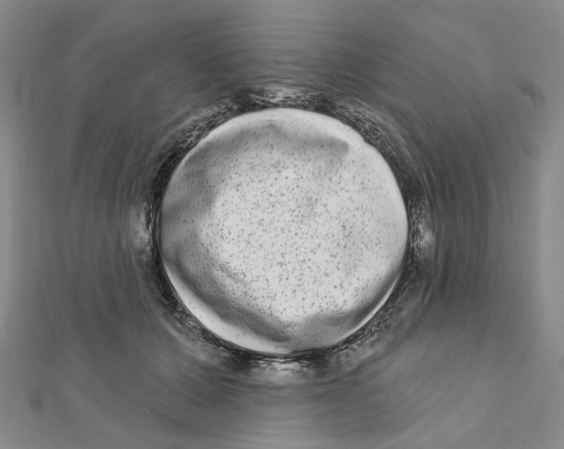 X0000111790607200908201133