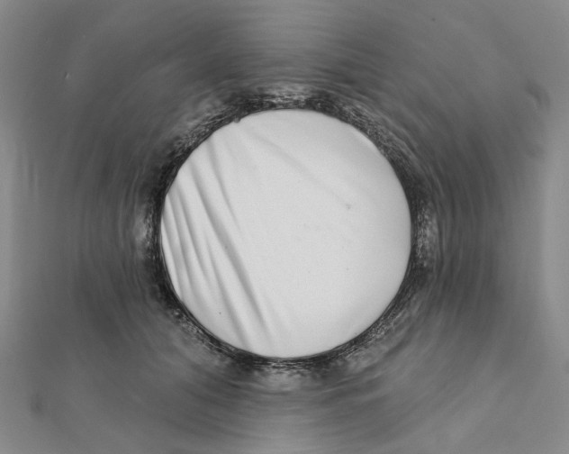 X0000111790608200908201133