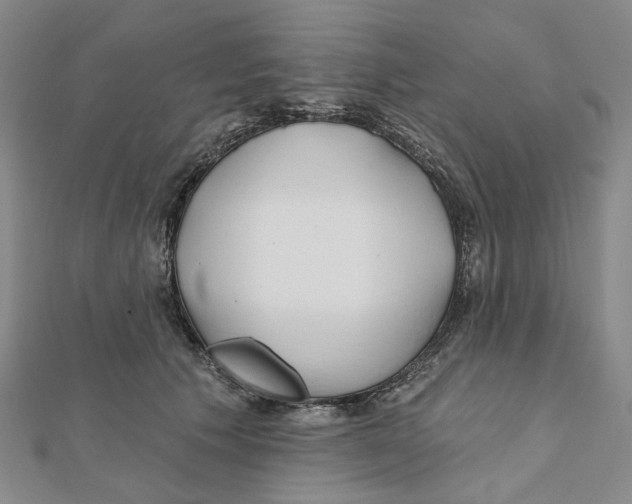 X0000111790609200908201133