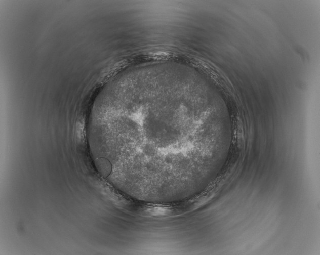 X0000111790610200908201133