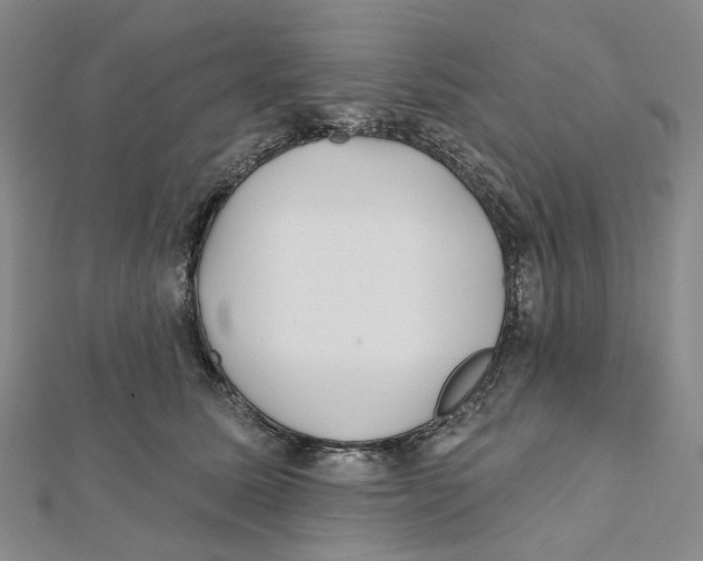 X0000111790611200908201133