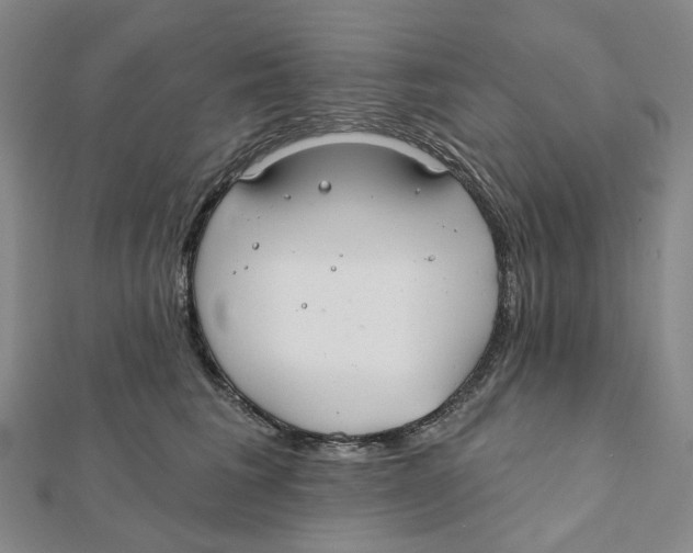 X0000111790613200908201133