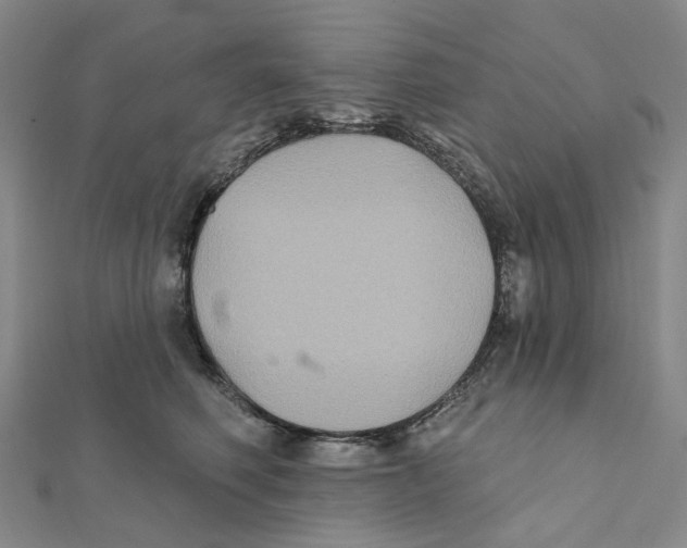 X0000111790614200908201133