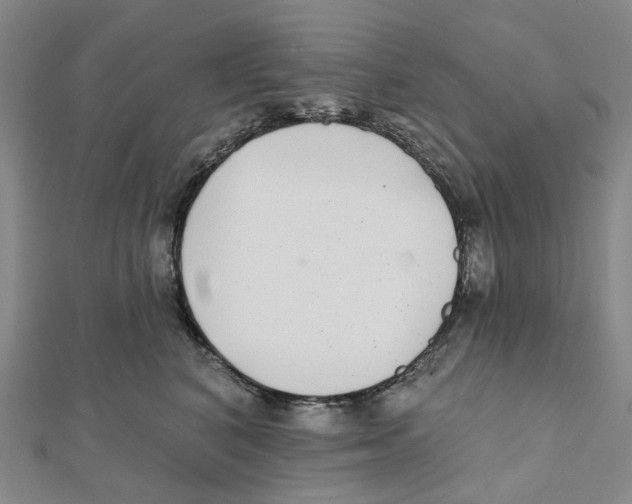 X0000111790616200908201133