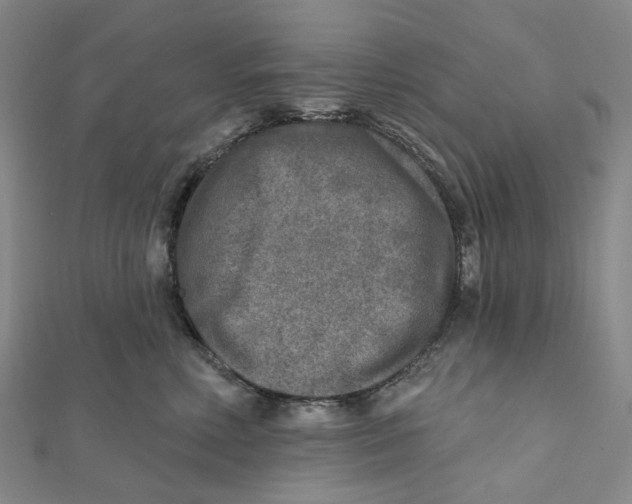 X0000111790618200908201133