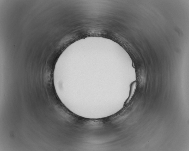 X0000111790619200908201133