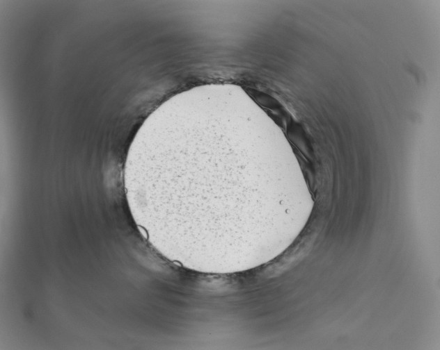 X0000111790624200908201133