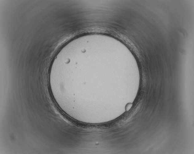 X0000111790625200908201132