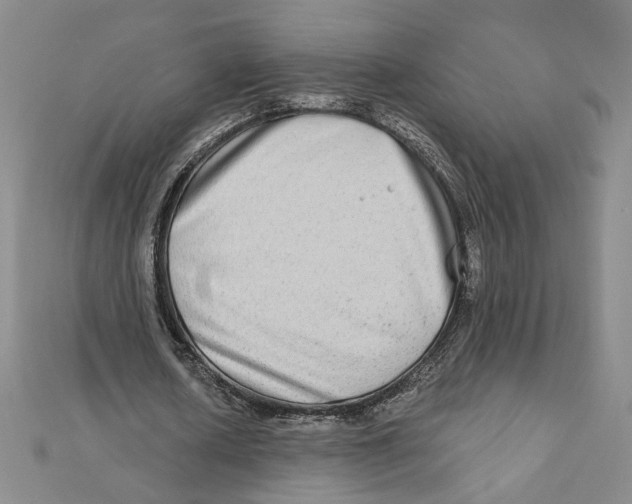 X0000111790626200908201132