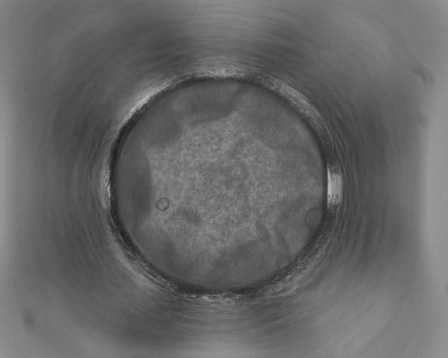 X0000111790627200908201132