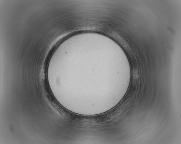 X0000111790628200908201132