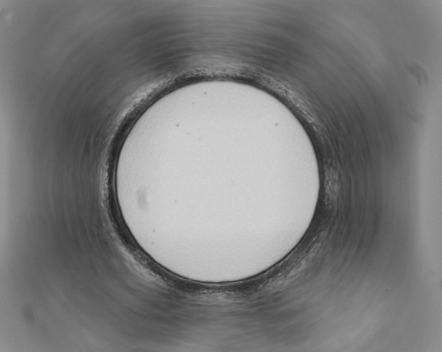 X0000111790629200908201132