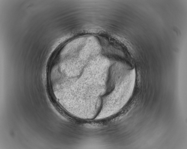 X0000111790630200908201132