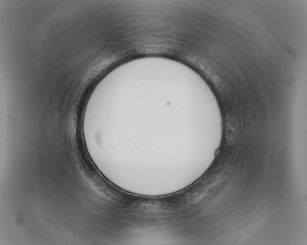 X0000111790631200908201132