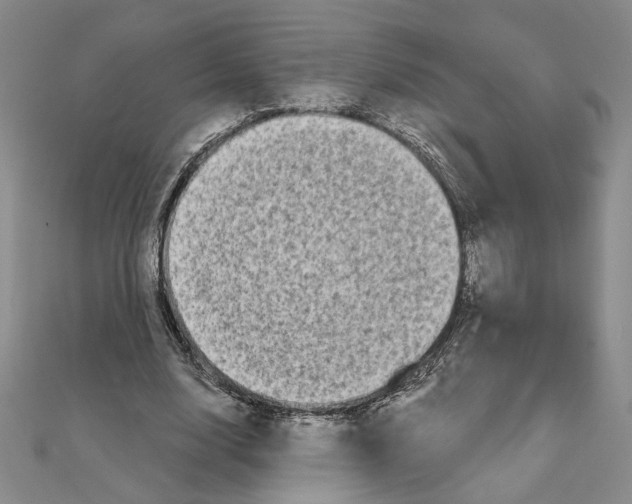 X0000111790632200908201132