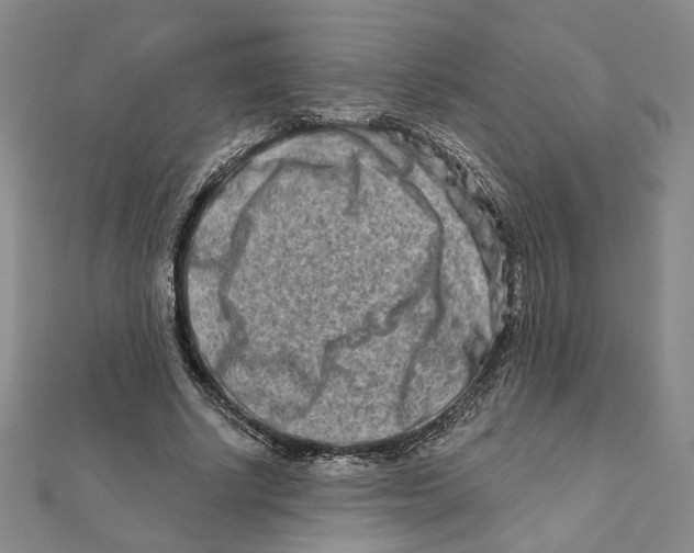 X0000111790634200908201132