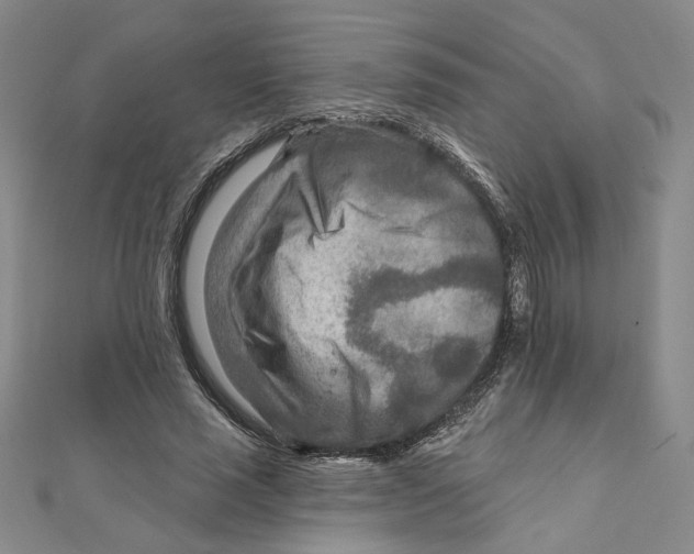 X0000111790637200908201132