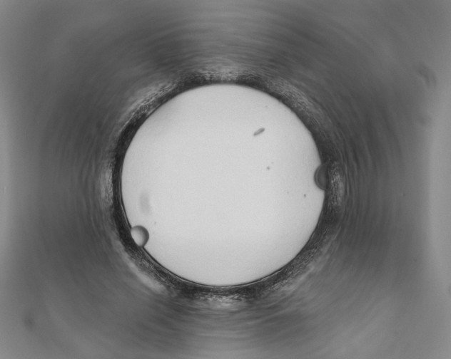 X0000111790638200908201133