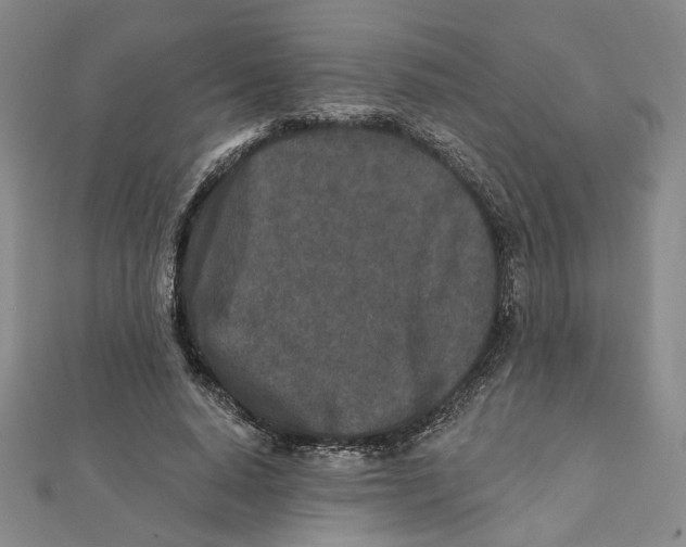 X0000111790640200908201133