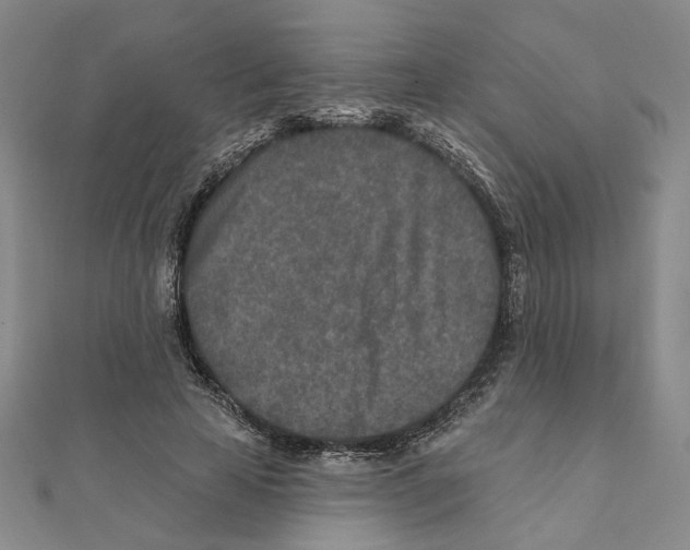 X0000111790641200908201133