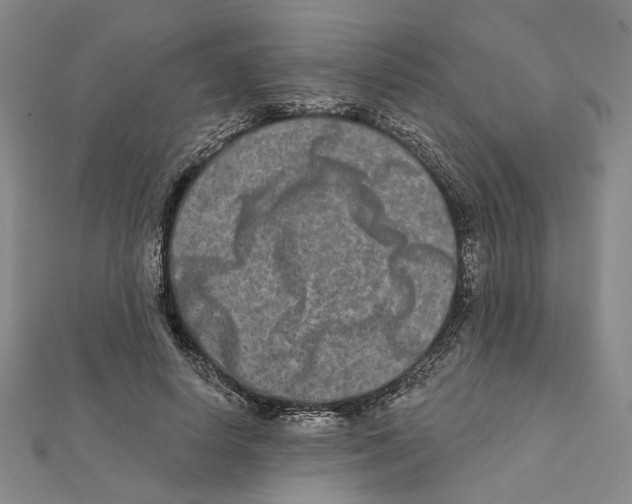 X0000111790642200908201133