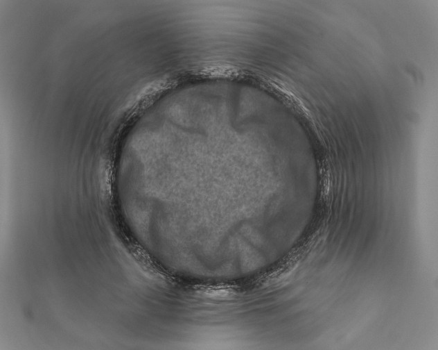 X0000111790643200908201133