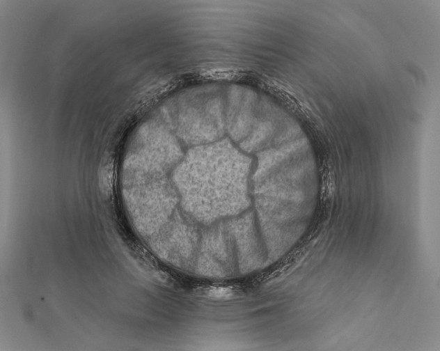 X0000111790647200908201133