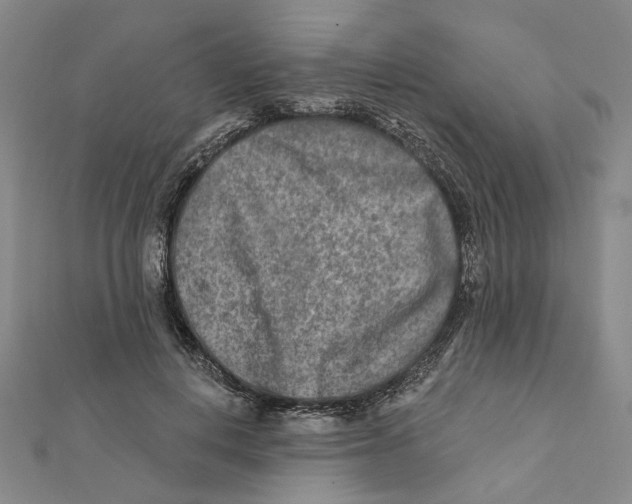 X0000111790648200908201133